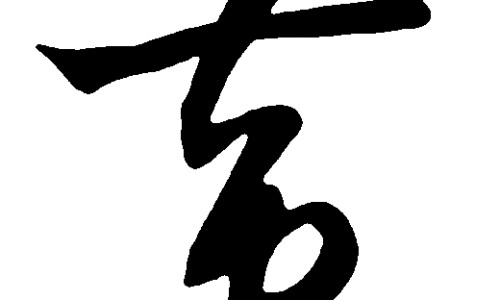 牡蛎精功效与作用、牡蛎精真的有用吗 -牡蛎精功效网